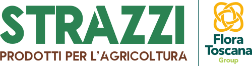 Strazzi