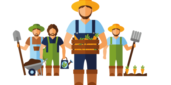 immagine-disegno-assistenza-strazzi